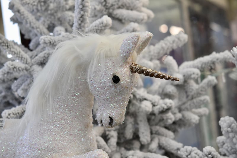 Unicorn Image